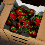 Corrugated Fruit Box - INNORHINO