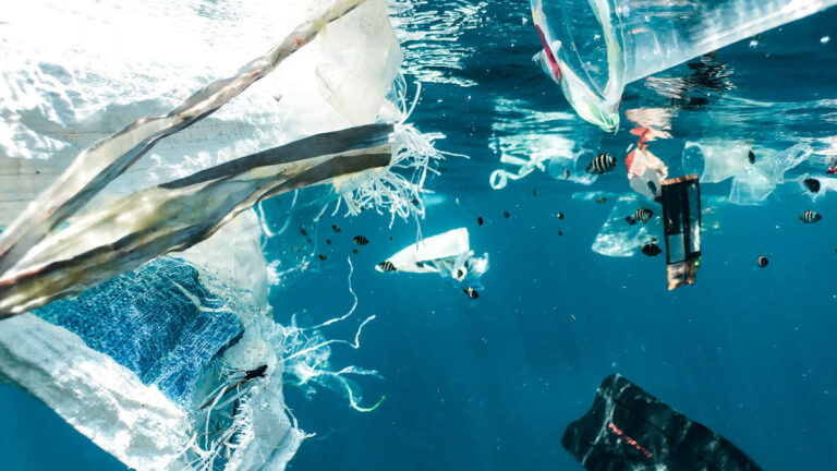 Conventional plastics cause pollution | INNORHINO