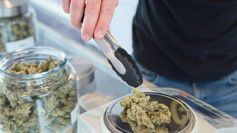 How to keep cannabis fresh | INNORHINO