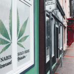 Cannabis Shop - INNORHINO