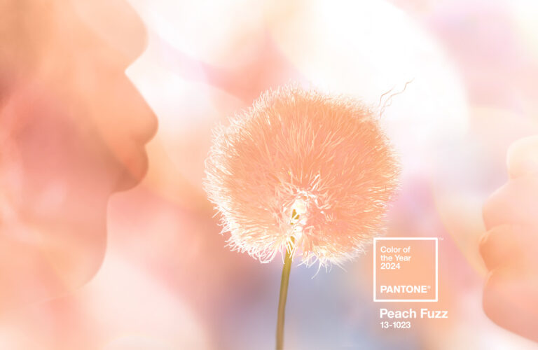 Pantone Peach Fuzz | INNORHINO