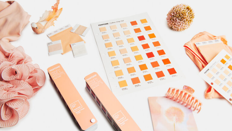2024 Pantone Color | INNORHINO